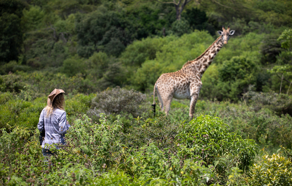 Arusha National Park Area Activities