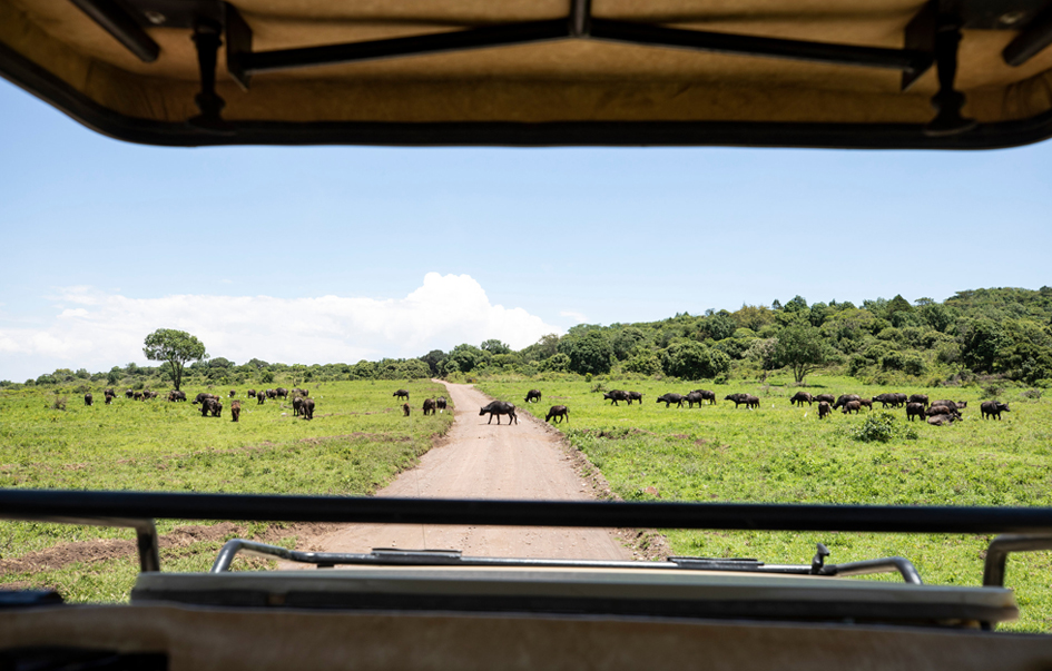 Arusha National Park How to Get There