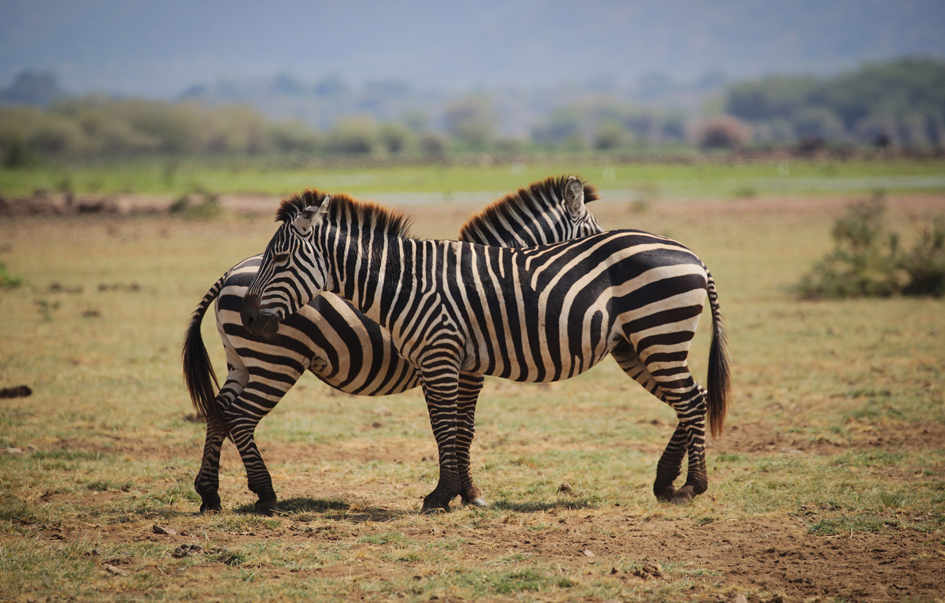 Arusha National Park When to Visit