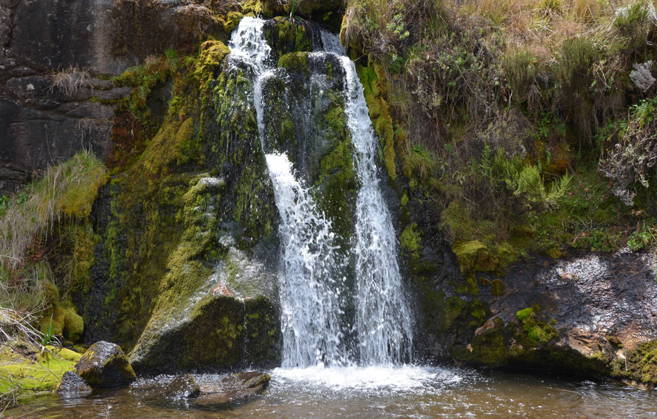 Kitulo National Park Area Activities