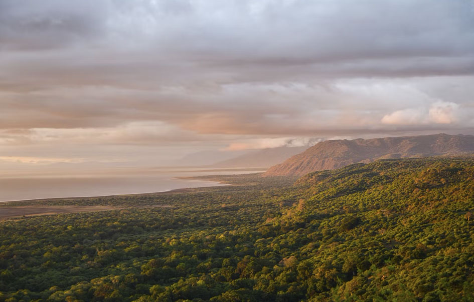 Mahale-National-Park-When-to-Visit_img