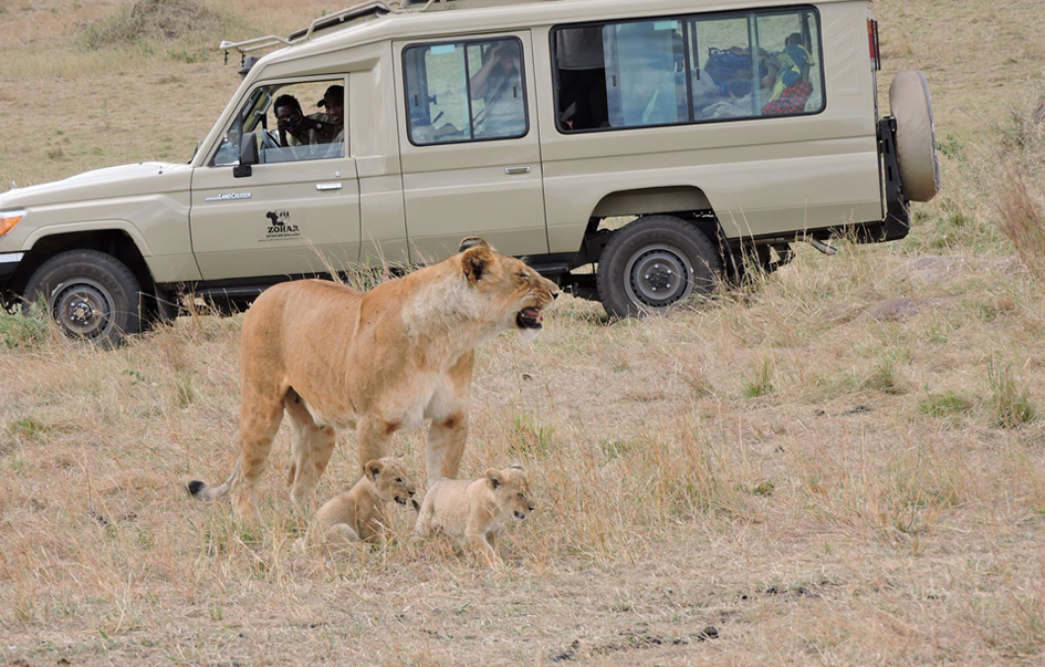 Manyara National Park How to Get There