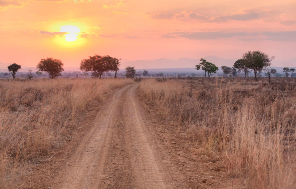 Mikumi National Park How to get there