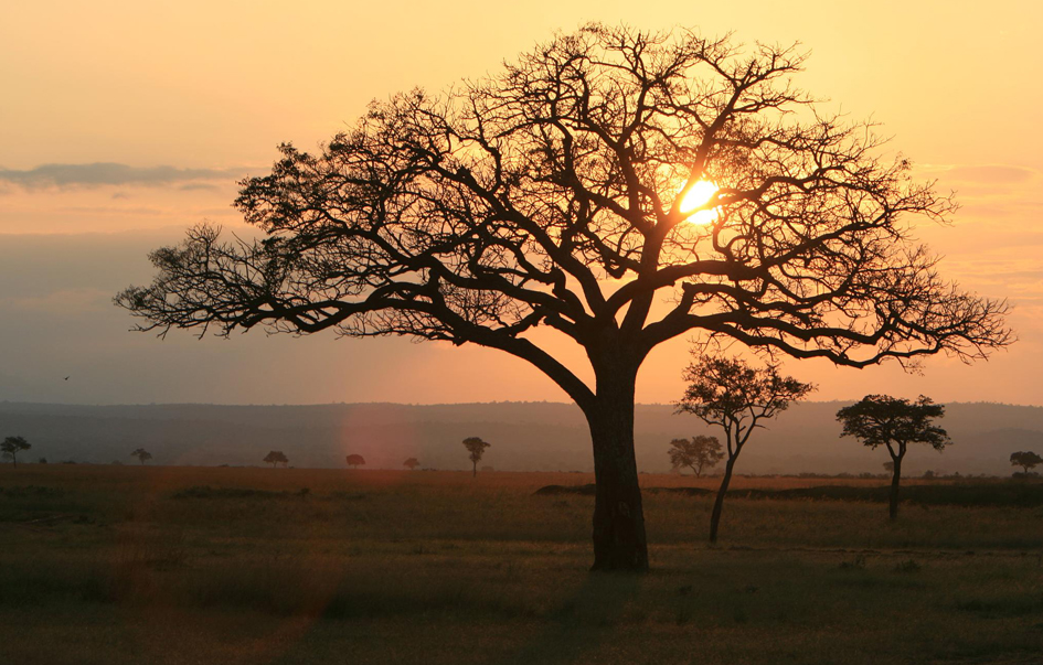 Mikumi National Park When to Visit