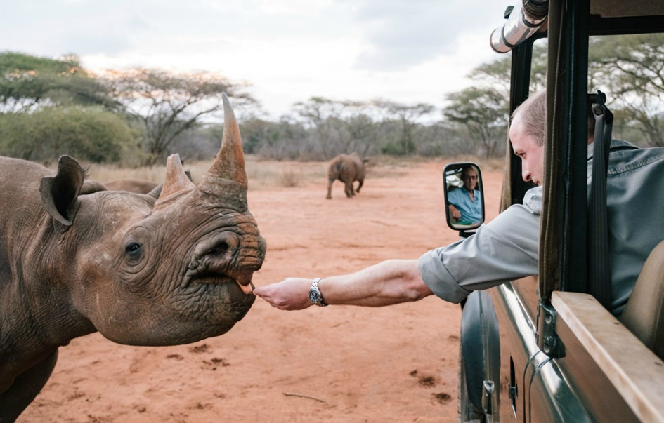 Mkomazi National Park What to See