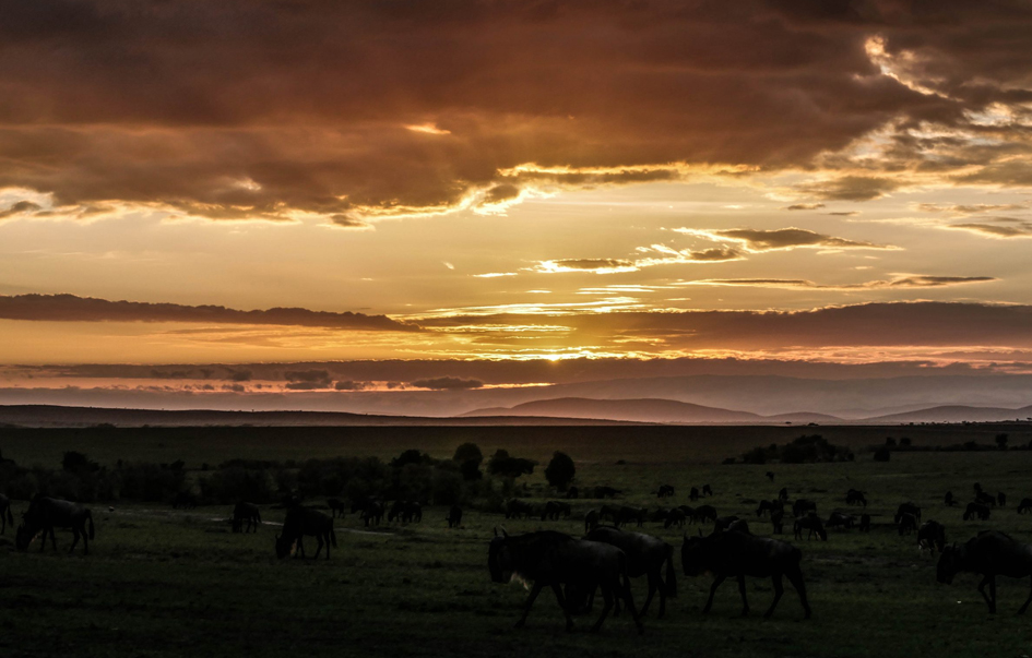 Mkomazi National Park When to Visit