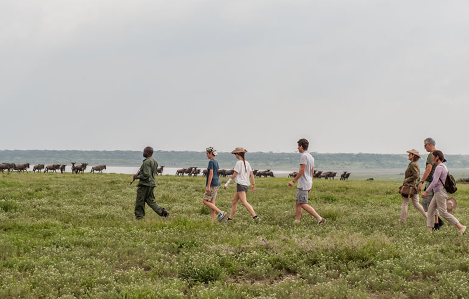 Ndutu Game Area Activities