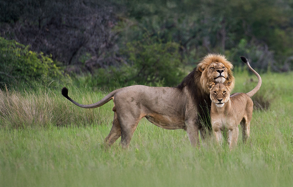 Nyerere-National-Park-What_to_See-img