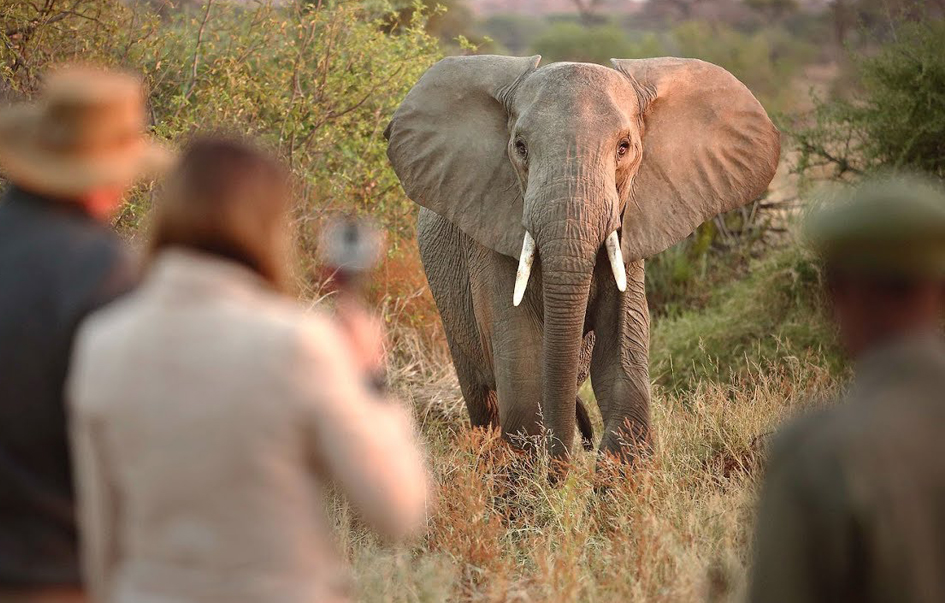 Ruaha National Park Area Activities