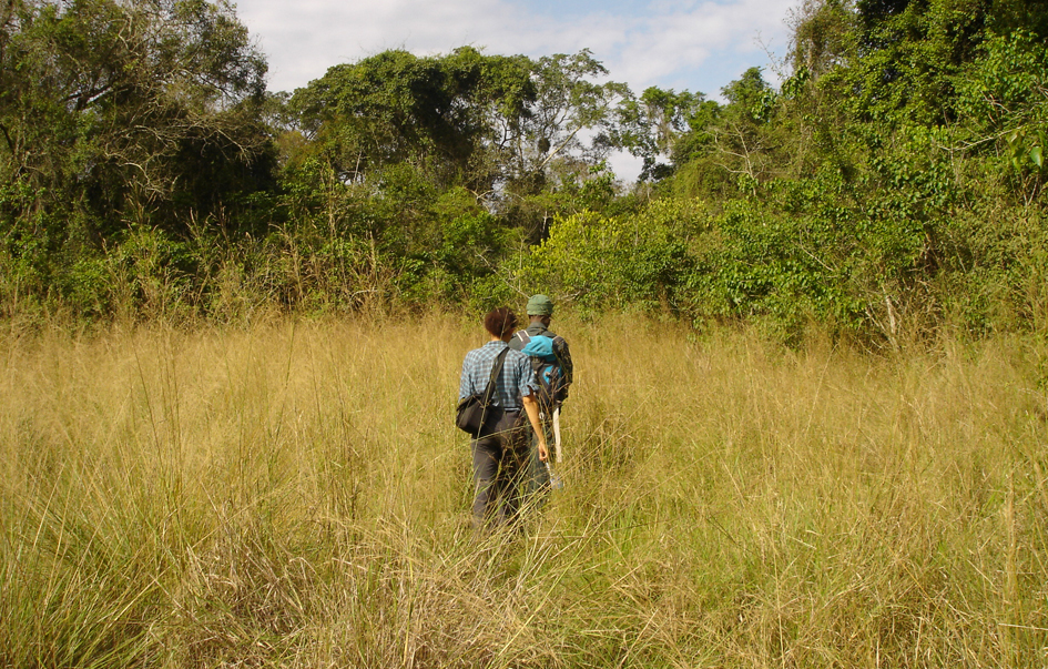 Rubondo Island Area Activities