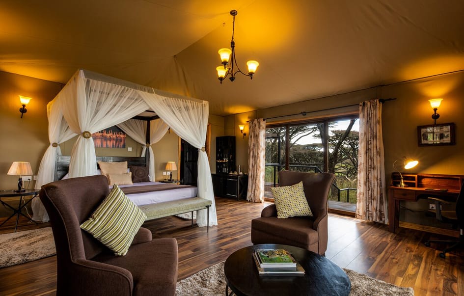 tanzania-honeymoon-safari-ngorongoro-lions-paw