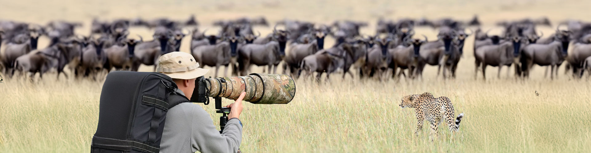 Tanzania Photographic Safari