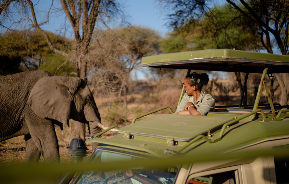 Tarangire National Park How to Get There