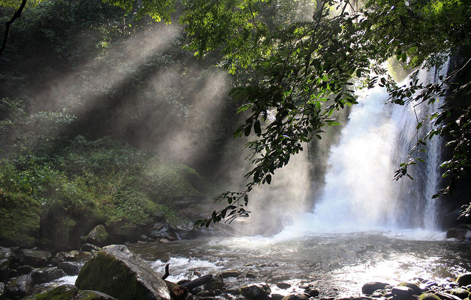 Udzungwa-National-Park-What-to_See-img