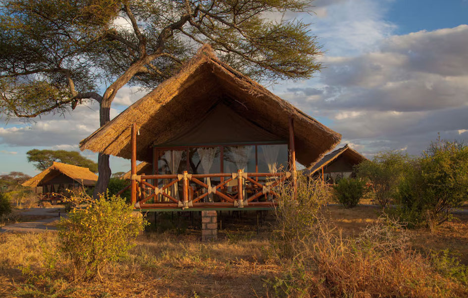 Tarangire-Simba-Lodge