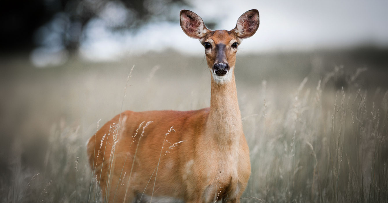 arusha-national-park