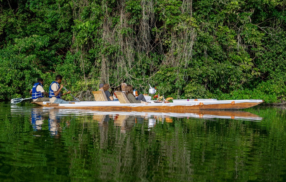 chimps trek great migration day 11