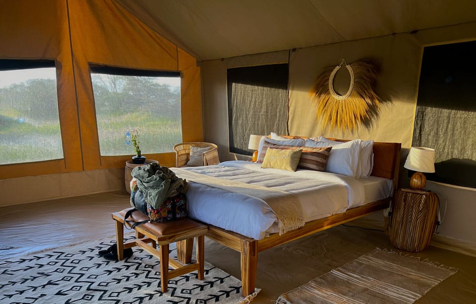 In the Wind Migration Camp