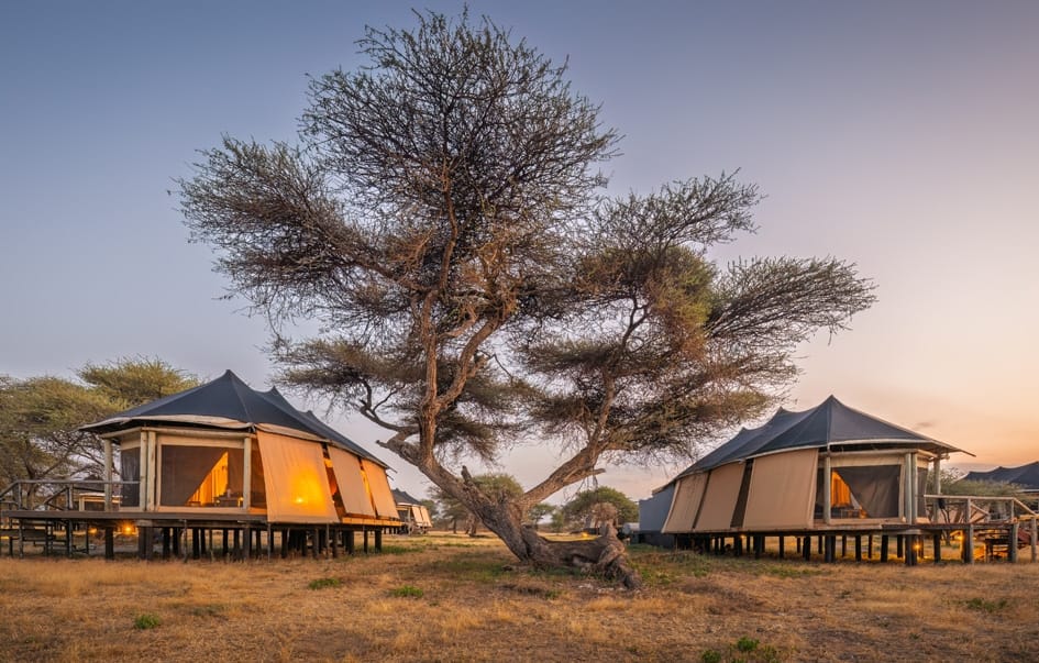 Lake Masek Tented Camp