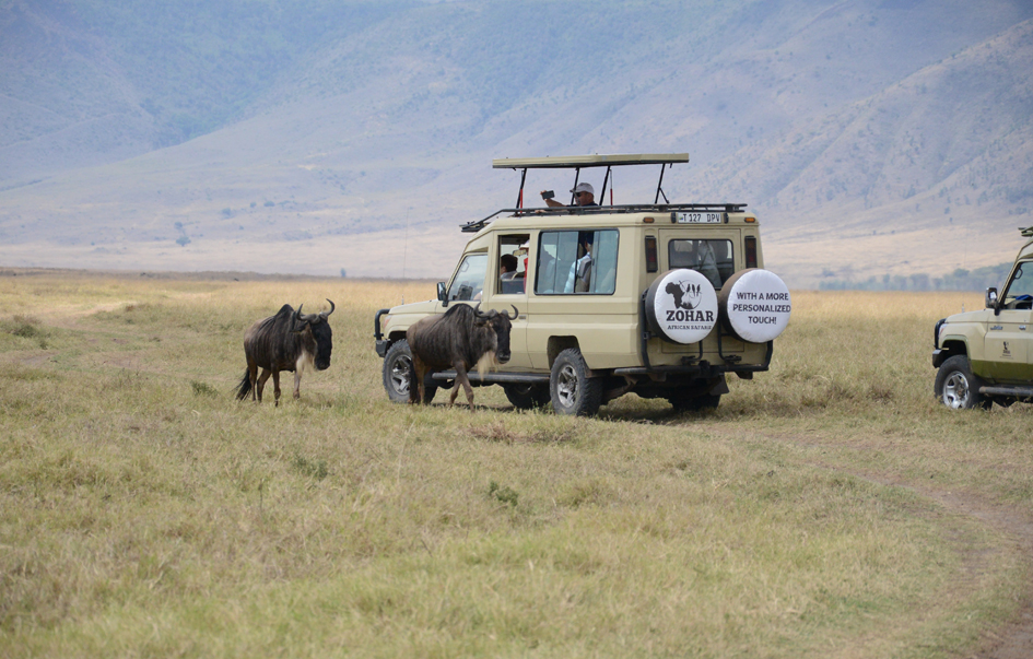 ngorongoro-How-to-Get-There