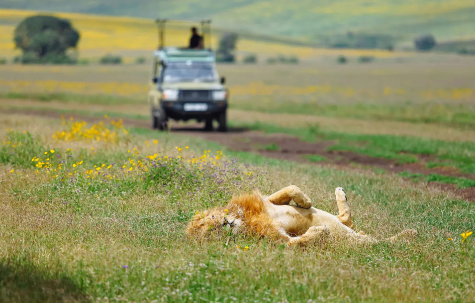 ngorongoro-when-to-visit