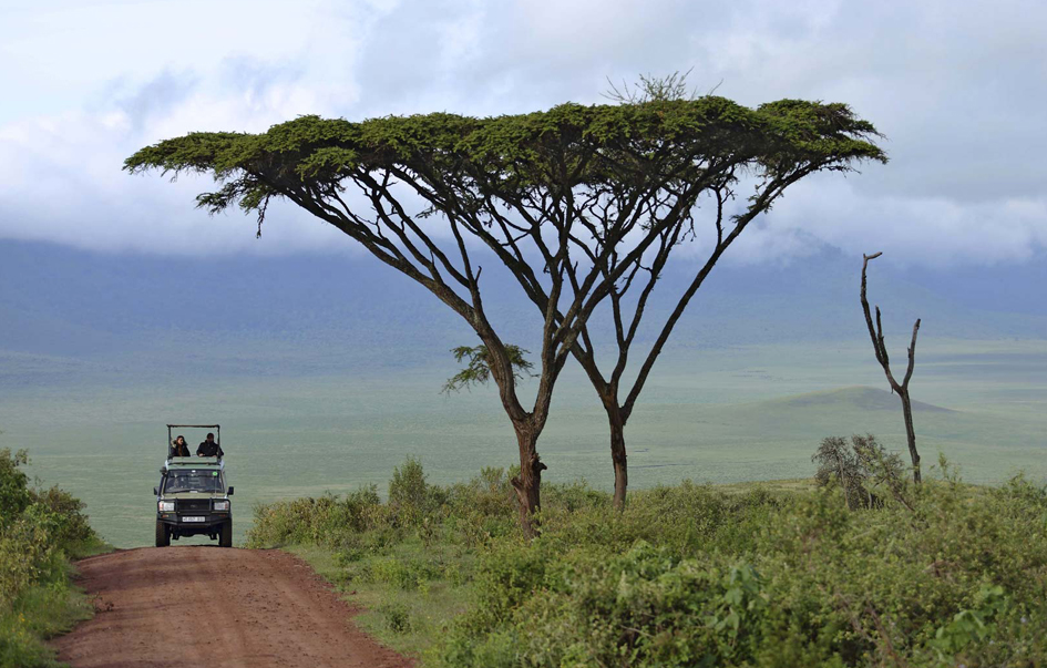 ngorongoro-highlands-How-to-Get-There