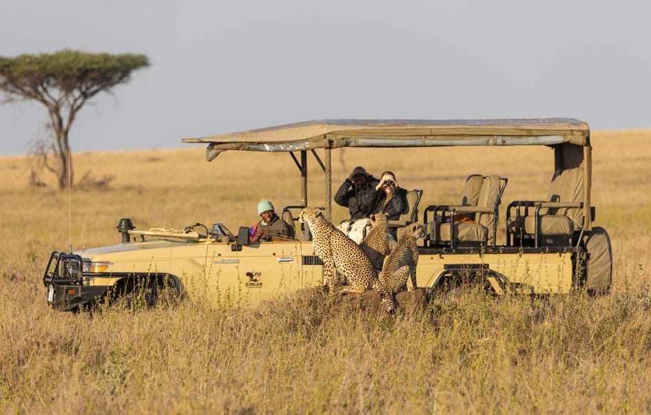 serengeti great migration more 7 days 2