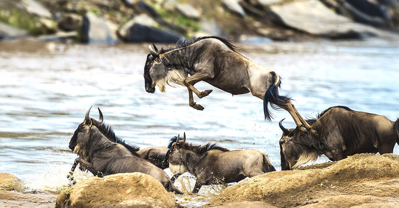 serengeti-national-park