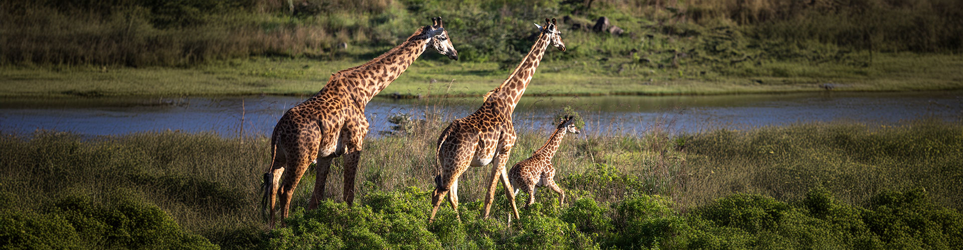 tanzania-family-safari