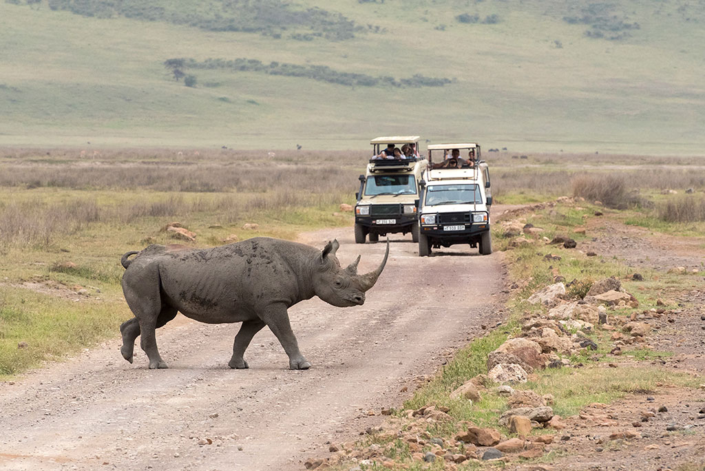 tanzania-safari-discover-tanzania-4