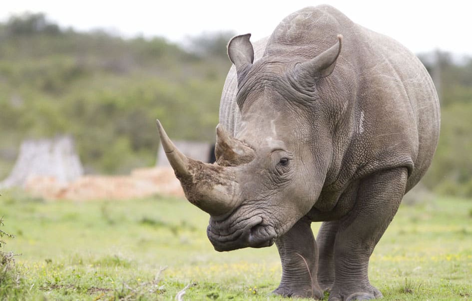 the-best-of-northern-tanzania-7-days