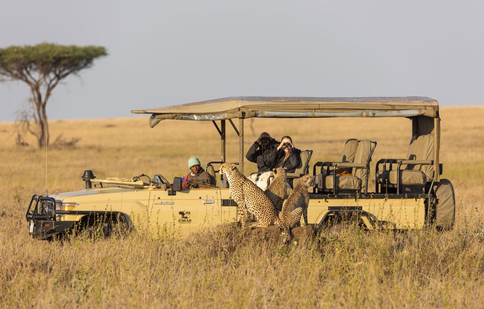 the-best-of-northern-tanzania-7-days