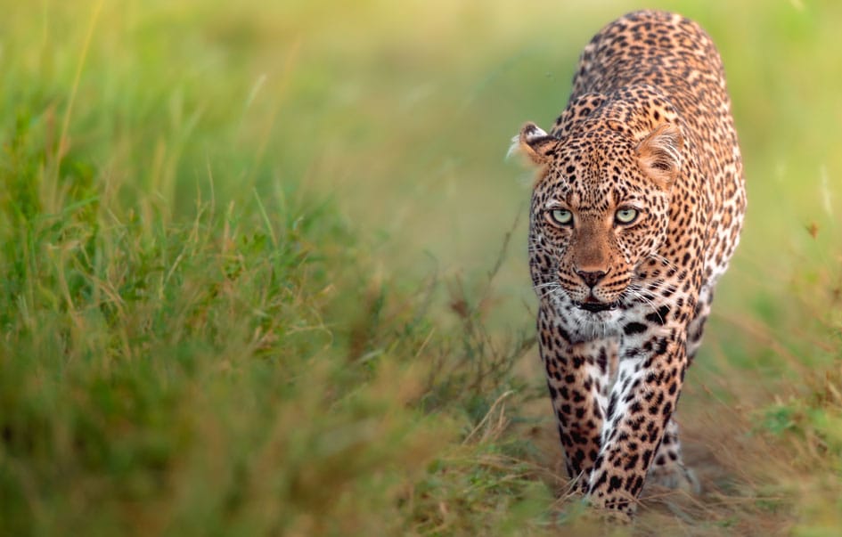 the best of northern tanzania 7 days 5