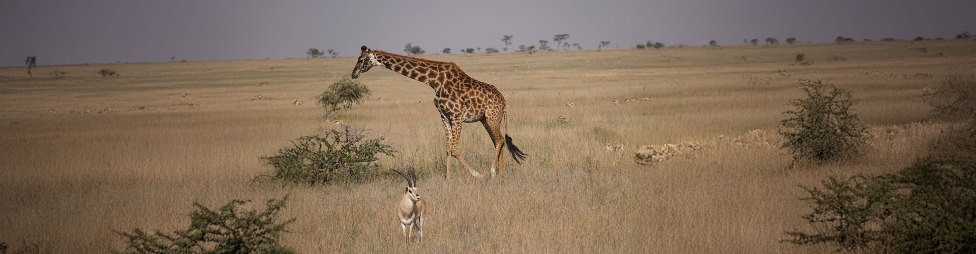 the-best-of-northern-tanzania-7-header-bg