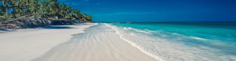 Beautiful shore of a beach in Zanzibar Island
