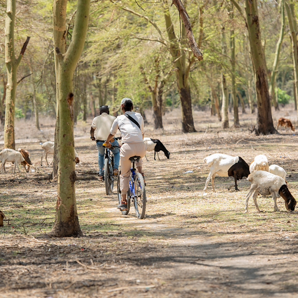 Manyara-Biking_img