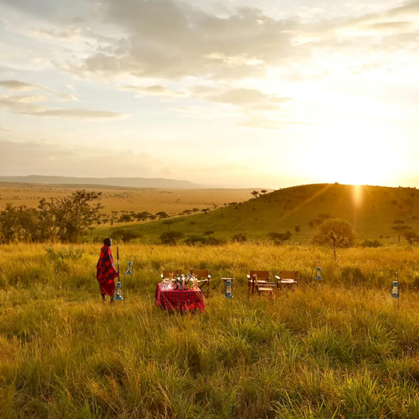 Serengeti-Sundowner_img