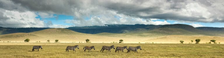 Ngorongoro Conservation area picture