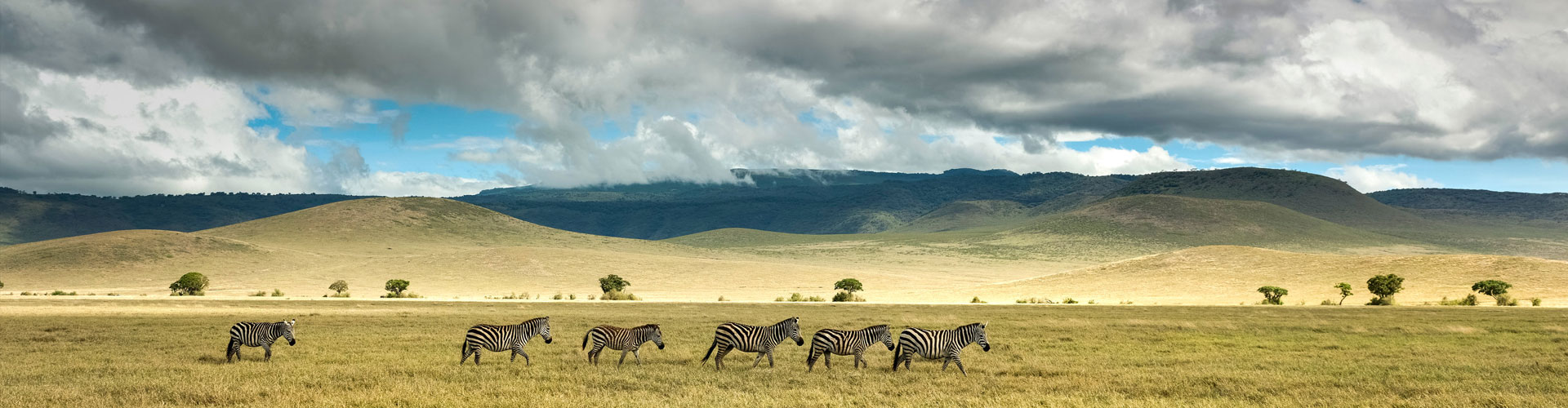 Uganda-Gorillas-Tanzania-header-bg