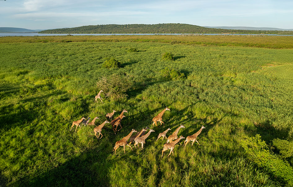 akagera-national-park-When-to-Visit