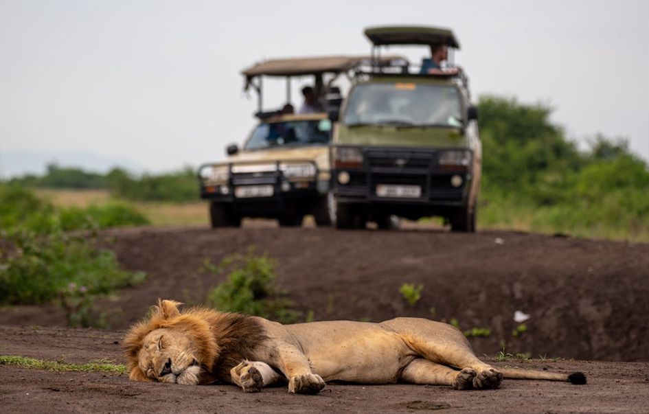 amboseli-national-park-How-to-Get-There