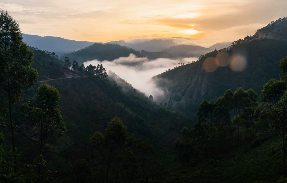 bwindi-impenetrable-national-park-When-to-Visit