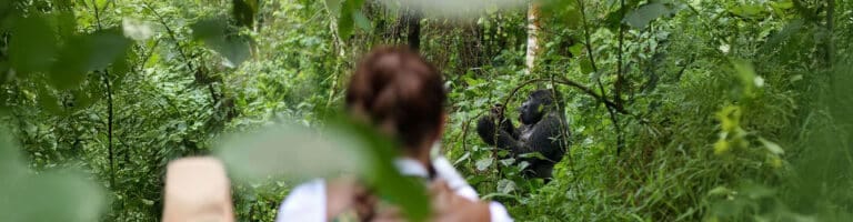 Tourist at Bwindi Park