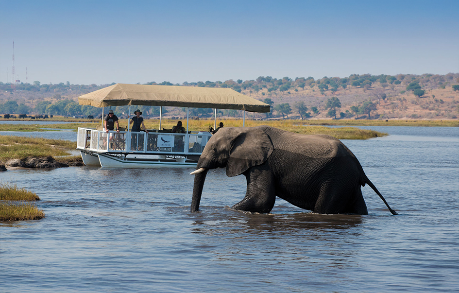 chobe-national-park-Areas-Activities