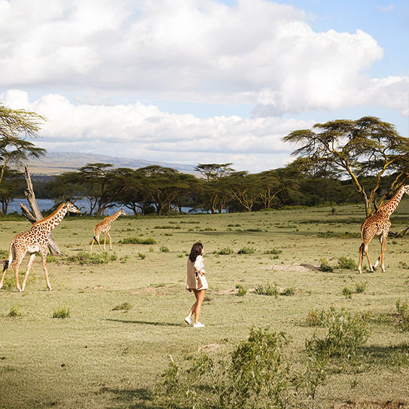 crescent-island-nature-walk