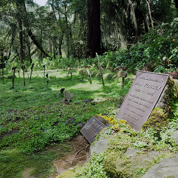 dian-fossey-tomb-tour