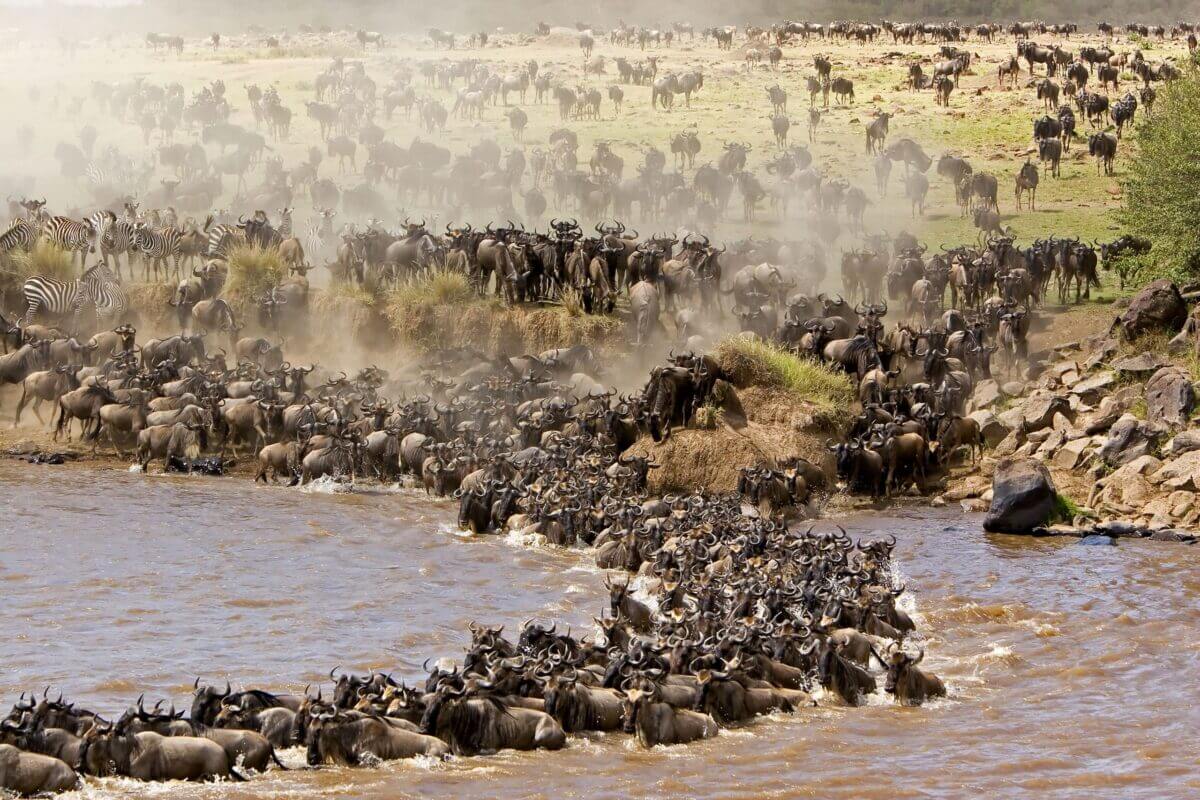 great-migration