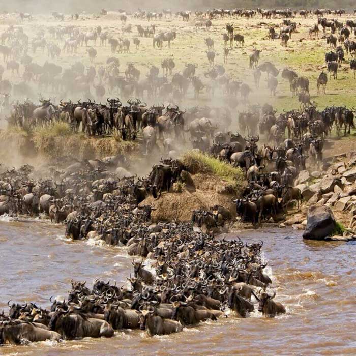 great_migration_img