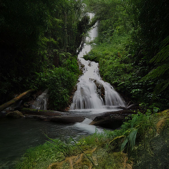 ivy-waterfalls-trails