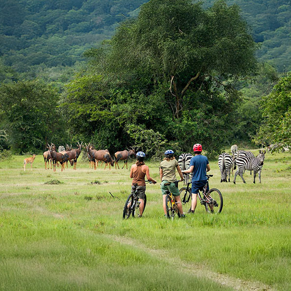 lake-mburo-biking-safaris